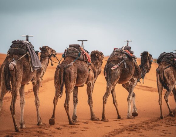 Consigli Pratici per il Viaggio in Marocco: Valuta, Sicurezza, Vestiti e Trasporti